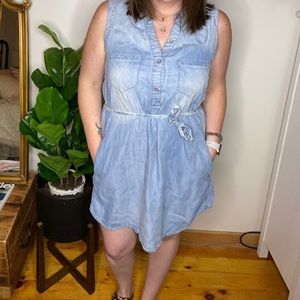Holding Horses Denim Dress